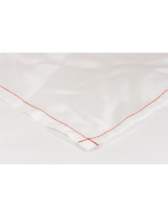 Servicio Express. Productos en 24 Horas. -Bandera Tejido 80Gr Económica EXPRESS 2