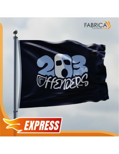 Servicio Express. Productos en 24 Horas. -Bandera Tejido 80Gr Económica EXPRESS
